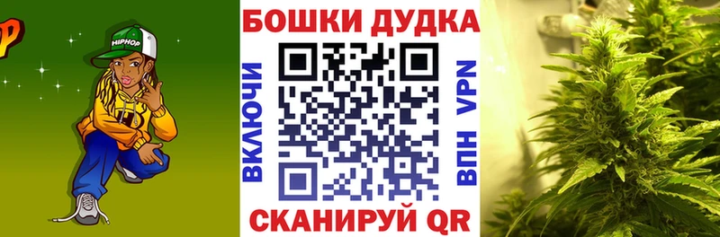 Купить наркотик Елизаветинская Канабис  Метамфетамин  Амфетамин  Мефедрон  Гашиш  hydra ССЫЛКА  Кокаин 