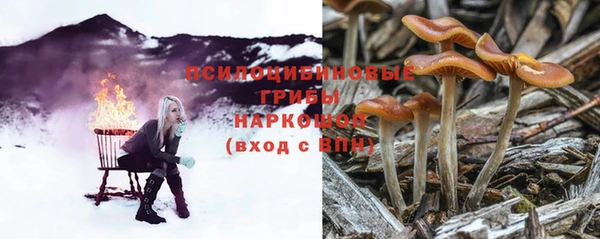 прущая мука Абинск